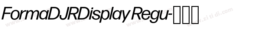 FormaDJRDisplay Regu字体转换